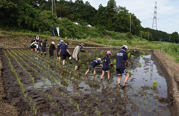 地下水を育む「水田オーナー制度」への参画