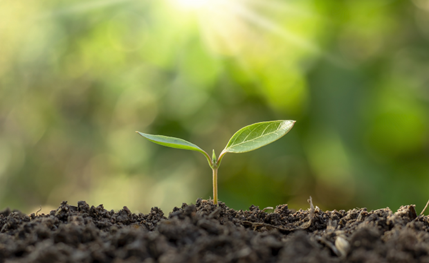 Reducing Environmental Impact