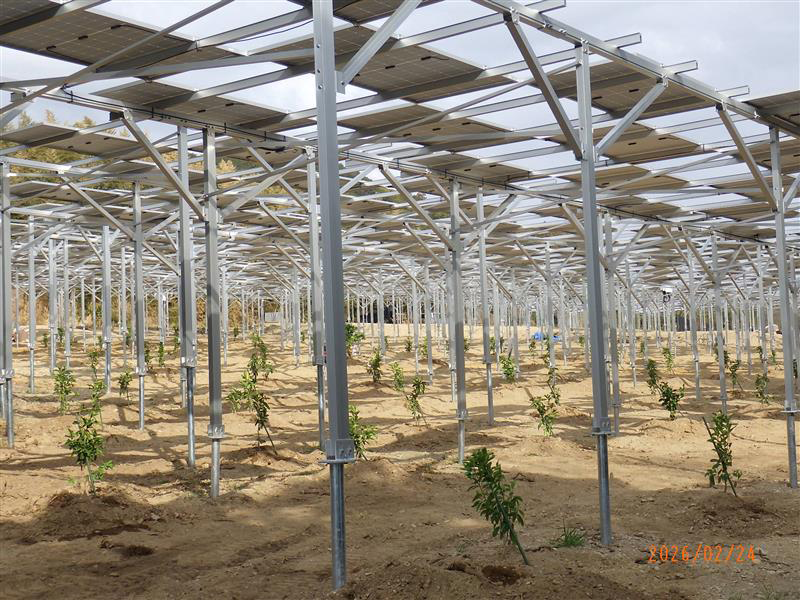An agrivoltaic off-site PPA that reduces environmental impact while supporting the local community