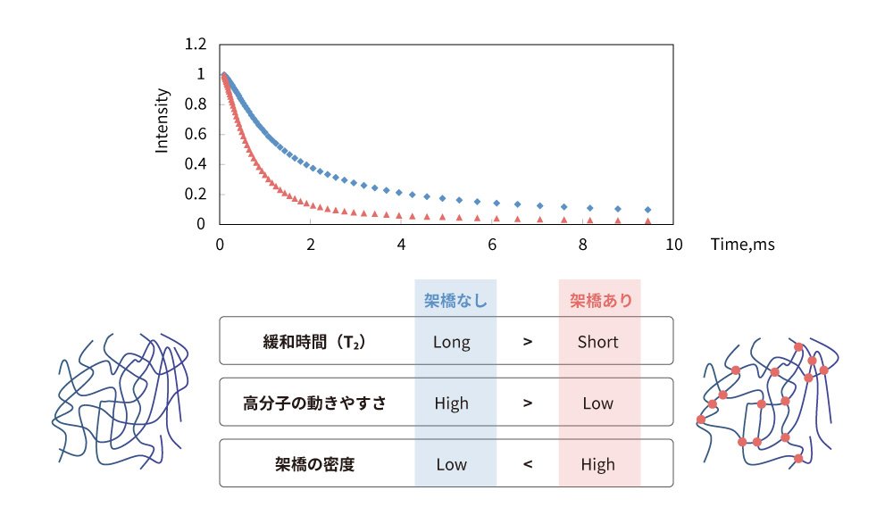 架橋の有無による高分子の緩和時間と動きやすさの比較図。上部には赤の三角形と青のダイヤモンドで示された緩和時間（T2）とIntesityの関係を示すグラフがあり、時間経過に伴う強度の減少が描かれている。左下には「架橋なし」の高分子構造のイラストがあり、右下には「架橋あり」の高分子構造のイラストが描かれている。中央には以下の比較表が示されている：1.緩和時間（T2）：架橋なし（Long） > 架橋あり（Short） 2.高分子の動きやすさ：架橋なし（High） > 架橋あり（Low） 3.架橋の密度：架橋なし（Low） < 架橋あり（High） これにより、架橋の有無による高分子材料の特性の違いが視覚的に説明されている。